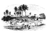 Banks of the Nile